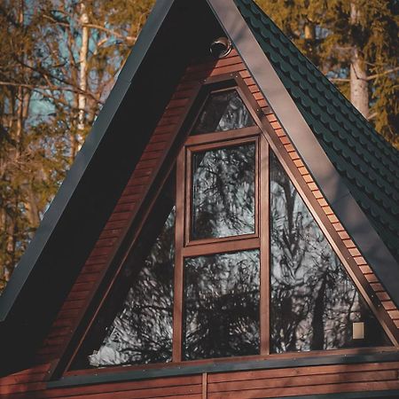 Lesny Dwor Villa Janowice Wielkie Exteriör bild
