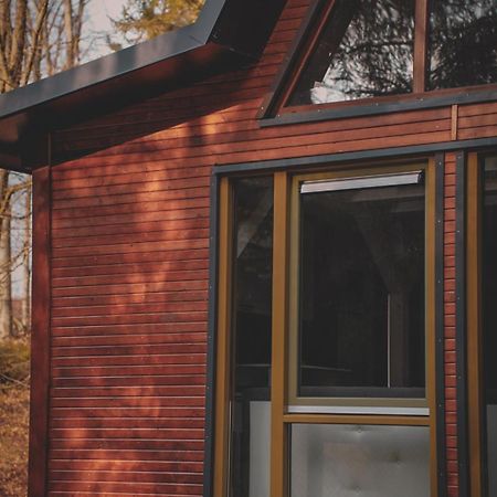 Lesny Dwor Villa Janowice Wielkie Exteriör bild