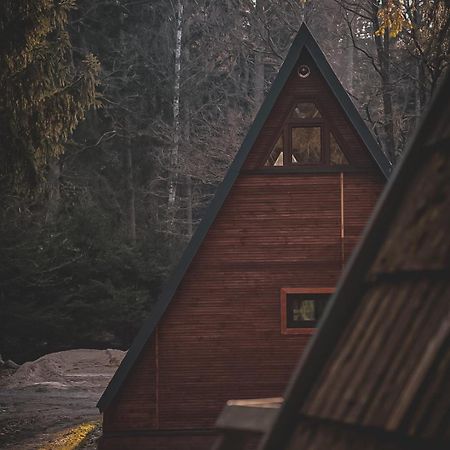 Lesny Dwor Villa Janowice Wielkie Exteriör bild