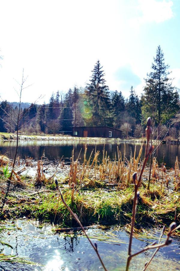 Lesny Dwor Villa Janowice Wielkie Exteriör bild